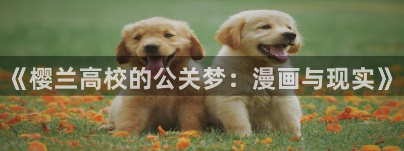 歪歪漫画vip的兑换码在哪里：《樱兰高校的公关梦：漫画与现实》