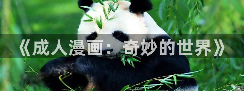 漫画免费观看在歪歪漫画：《成人漫画：奇妙的世界》