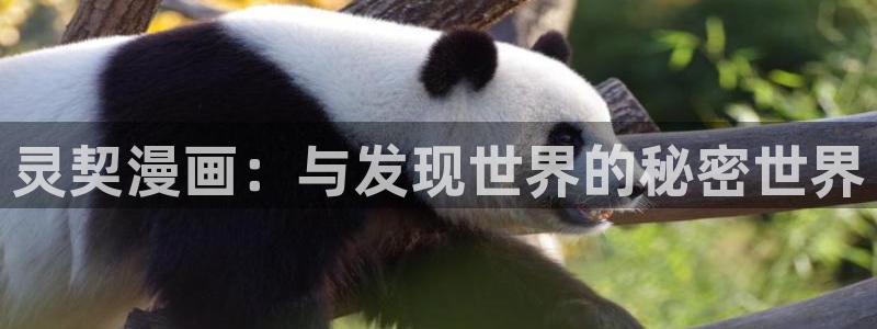 歪歪动漫日本：灵契漫画：与发现世界的秘密世界