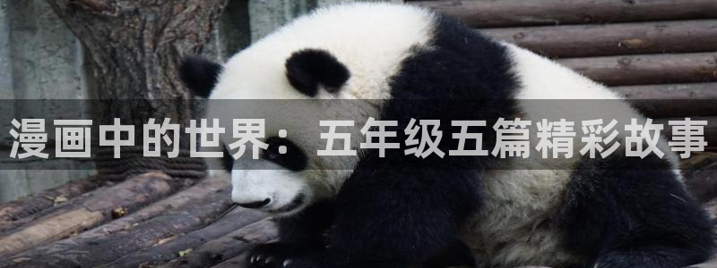 后宫露营完整歪歪动漫全集：漫画中的世界：五年级五篇精彩故事